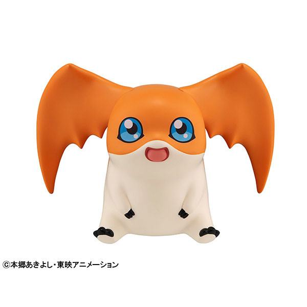 Digimon Adventure Patamon Look Up