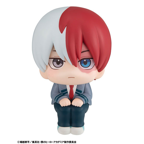 Boku no Hero Academia Todoroki Shoto Look Up