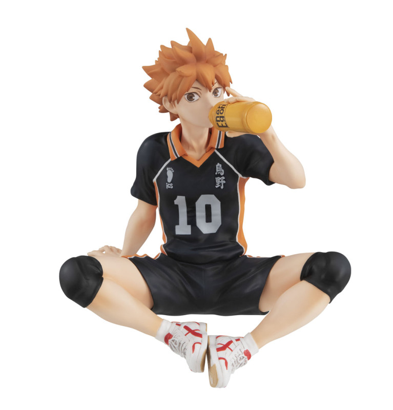 Haikyuu!! - Hinata Shouyou - G.E.M. - Tenohira